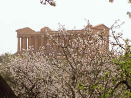 Tempio della Concordia
